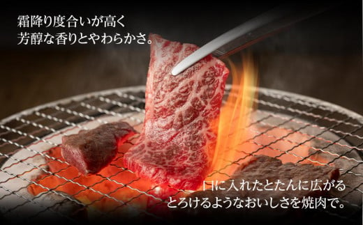 【着日指定必須】近江牛　焼肉用　５００ｇ