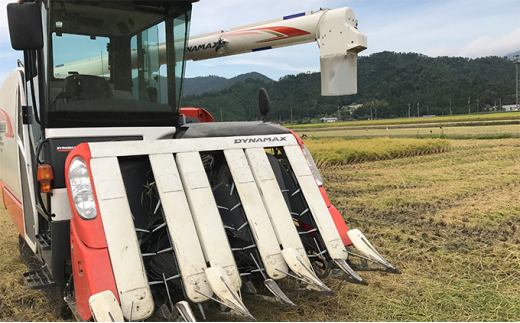 3ケ月連続 福井県若狭町コシヒカリ（一等米）10kg（5kg×2）（神谷農園） [№5580-0861]