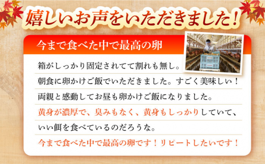 【隔月3回定期便】 雲仙たまご 80個(10個入り×8パック) 長崎県/塚ちゃん雲仙たまご村 [42ACAE043]