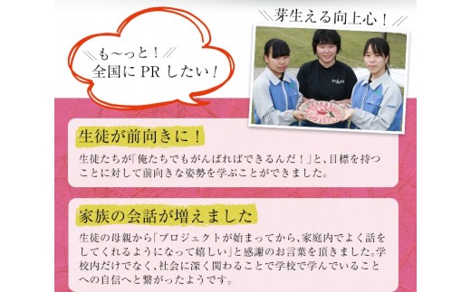 レンジでチン！金の桜黒豚 かた焼そば 4食入り（あんかけ 220g×4P 乾麺付き 50g×4P）冷蔵 小分け の おかず セット レンジ 簡単調理 レトルト 電子レンジ対応 温めるだけ で お手軽  時短！皿うどん 【A-1008H】