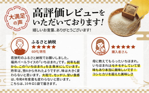 米 令和6年 いちほまれ 10kg 新米 精米 白米 お米 米 おこめ こめ コメ ご飯 ブランド米 令和6年産 福井 福井県 若狭町 [№5580-0365]