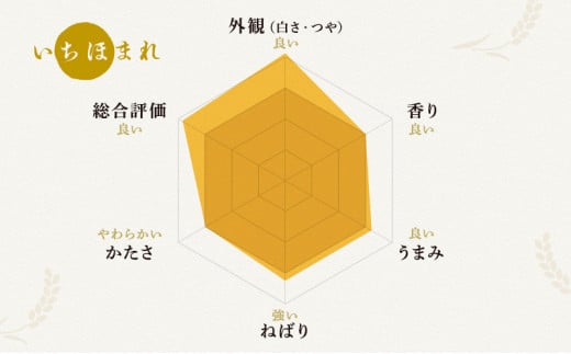 米 令和6年 いちほまれ 10kg 新米 精米 白米 お米 米 おこめ こめ コメ ご飯 ブランド米 令和6年産 福井 福井県 若狭町 [№5580-0365]