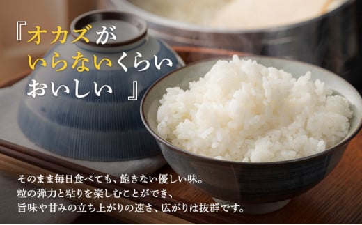 米 令和6年 いちほまれ 10kg 新米 精米 白米 お米 米 おこめ こめ コメ ご飯 ブランド米 令和6年産 福井 福井県 若狭町 [№5580-0365]