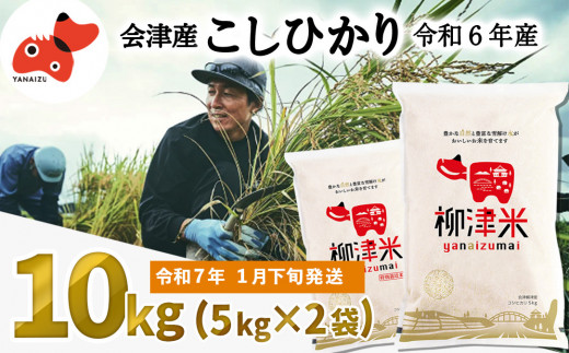 ＜令和6年産＞福島県柳津町産こしひかり10kg(5kg×2)＜令和7年1月下旬発送予定＞【1548258】