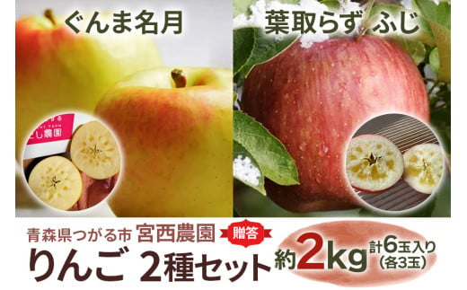 [贈答用] ぐんま名月×葉取らずふじ【約2kg 各3玉入り 計6玉】贅沢りんご 2種セット｜青森産 津軽 つがる りんご リンゴ 果物 フルーツ [0681]