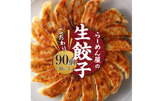 一徹堂・冷凍生餃子(30個)3パック