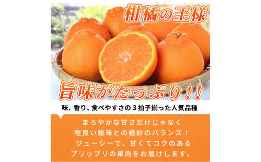 完熟紀州デコ(不知火) 約5kg　果肉プリプリ♪【2025年2月下旬以降発送】【先行予約】【UT43】