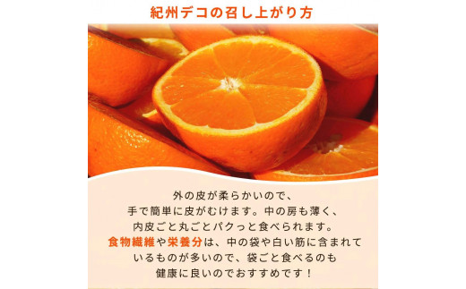 完熟紀州デコ(不知火) 約5kg　果肉プリプリ♪【2025年2月下旬以降発送】【先行予約】【UT43】