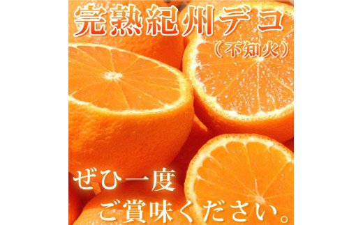 完熟紀州デコ(不知火) 約5kg　果肉プリプリ♪【2025年2月下旬以降発送】【先行予約】【UT43】