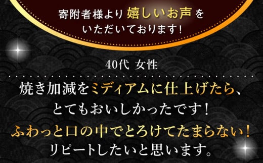 【極上の旨み！】長崎和牛 シャトーブリアン ステーキ 計600g （約150g×4枚）【黒牛】 [QBD014]  焼肉 ステーキ 焼肉 ステーキ 肉 和牛 シャトーブリアン 牛肉 長崎和牛 焼肉 BBQ バーベキュー 