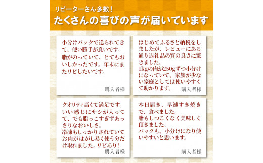 お待たせしました★信州高原和牛 切り落とし 1kg (250g×4) 小分け 国産黒毛和牛