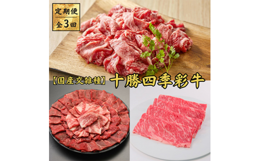 ＜毎月定期便＞十勝四季彩牛　焼肉・切落し・すき焼きセット 全3回【4012926】