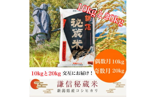 定期便 12回 月替わり発送(偶数月10kg奇数月20kg)(全12回) 10kg 20kg 米 新潟県産 コシヒカリ  精白米 謙信秘蔵米  お米  こめ コメ おこめ おすすめ こしひかり 新潟 にいがた 新潟米 上越 上越産 上越米 ふるさと納税 定期便 上杉謙信 人気