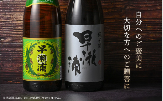 【早瀬浦】本醸造 1800ml × 3本 ＆ 純米酒 1800ml × 3本 セット【飲み比べ 日本酒 地酒 福井 美浜 早瀬 フルーティ 男酒 硬水 ミネラル 希少 ご褒美 家飲み】[m16-e004]