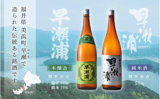 【早瀬浦】本醸造 1800ml × 3本 ＆ 純米酒 1800ml × 3本 セット【飲み比べ 日本酒 地酒 福井 美浜 早瀬 フルーティ 男酒 硬水 ミネラル 希少 ご褒美 家飲み】[m16-e004]