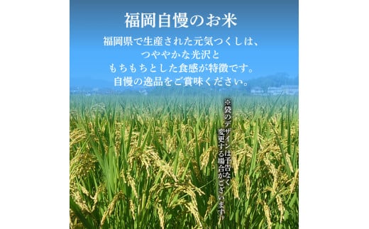 【１週間以内発送】元気つくし 30㎏（精米） 定期便 計三回 米 お米 ゴハン メシ 飯 夕ご飯 美味しいご飯 福岡 川崎 