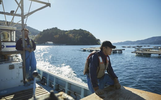 【1月前半発送】先行予約 訳あり 殻付き牡蠣 生食用 約3kg 【 牡蠣 かき カキ 殻付き 生食 数量限定 国産 三陸産 広田湾 小友 大和水産 】RT2626 