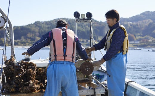 【1月前半発送】先行予約 訳あり 殻付き牡蠣 生食用 約3kg 【 牡蠣 かき カキ 殻付き 生食 数量限定 国産 三陸産 広田湾 小友 大和水産 】RT2626 