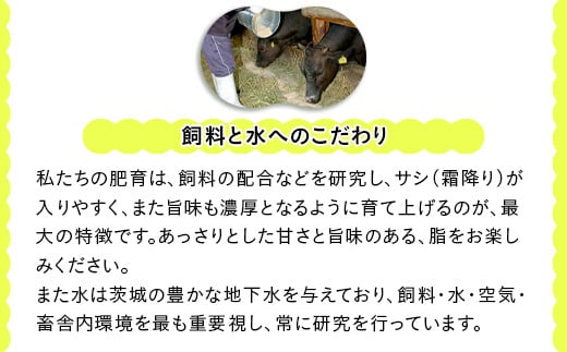 019茨城県産黒毛和牛「常陸牛」ハンバーグ1.5kg（150g×10個）