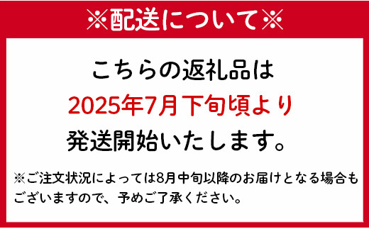 【2025年発送】【先行受付】徳之島 天城町産 完全無加温 完熟 マンゴー Ａ品 1kg 贈答 P-28-N