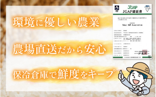 【令和6年産 新米】【9月中発送可】福井県産　特別栽培米ハナエチゼン(玄米)30kg