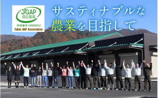 【令和6年産 新米】【9月中発送可】福井県産　特別栽培米ハナエチゼン(玄米)30kg