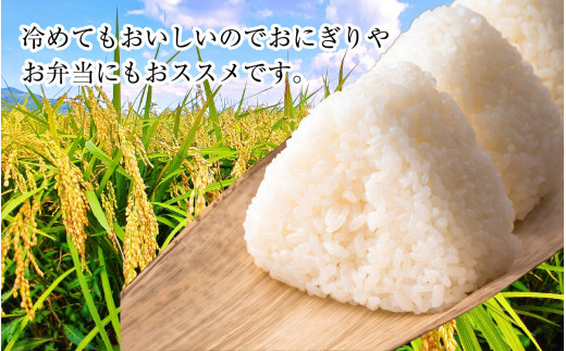 【令和6年産 新米】【9月中発送可】福井県産　特別栽培米ハナエチゼン(玄米)30kg