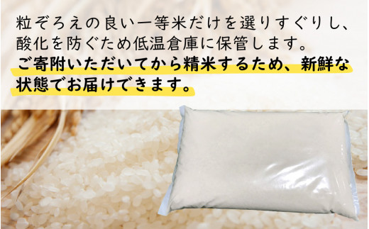 【令和6年産 新米】【9月中発送可】福井県産　特別栽培米ハナエチゼン(玄米)30kg