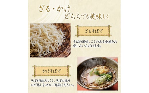 風穴そば乾麺セットつゆ付き　10人前 蕎麦 ソバ 長野 お土産 ご当地 お取り寄せ 麺類 信州そば[№5915-0260]