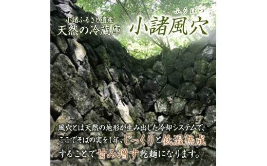 風穴そば乾麺セットつゆ付き　10人前 蕎麦 ソバ 長野 お土産 ご当地 お取り寄せ 麺類 信州そば[№5915-0260]