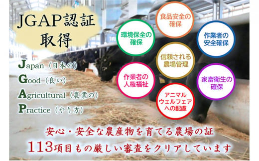 [№5533-0314]【飛騨牛】海津市産モモしゃぶしゃぶすき焼き用スライス 【配達不可：離島】