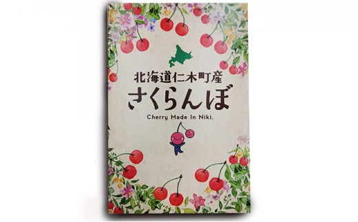 北海道 仁木町産 7月旬 さくらんぼ 600g 【JA新おたるの生産者厳選】