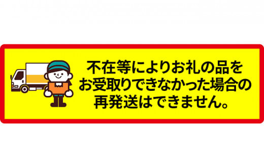 北海道 仁木町産 7月旬 さくらんぼ 600g 【JA新おたるの生産者厳選】