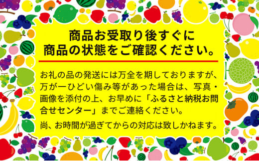 北海道 仁木町産 7月旬 さくらんぼ 600g 【JA新おたるの生産者厳選】