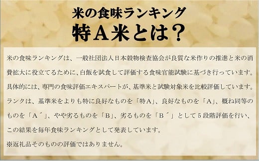 令和4年産 無洗米ななつぼし（真空パック）