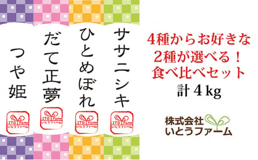 【ササニシキ・だて正夢】いとうファームの令和6年産 2品種を選べる！食べ比べセットB 計4kg ※2024年10月下旬より順次発送予定