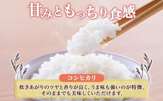 令和6年産 コシヒカリ 白米 10kg×1袋 長野県産 米 精米 お米 ごはん ライス 甘み 農家直送 産直 信州 人気 ギフト お取り寄せ 平林農園 送料無料 長野県 大町市