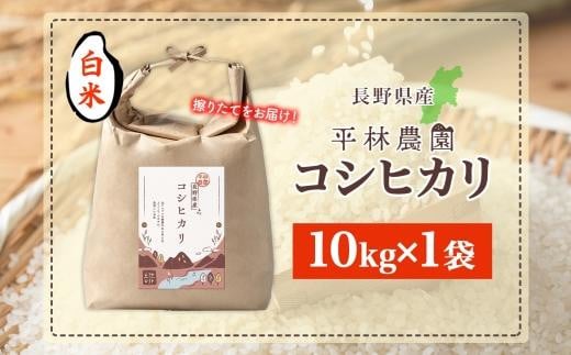 令和6年産 コシヒカリ 白米 10kg×1袋 長野県産 米 精米 お米 ごはん ライス 甘み 農家直送 産直 信州 人気 ギフト お取り寄せ 平林農園 送料無料 長野県 大町市