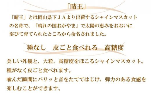 ぶどう 2024年 先行予約 ご家庭用 シャイン マスカット 晴王 3～6房 約1.5kg ブドウ 葡萄  岡山県産 国産 フルーツ 果物