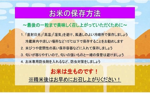 【2024年10月発送】ゆめぴりか&ななつぼし