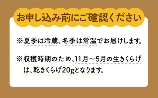 【全12回定期便】平戸有機きのこ箱入りセット【きのこ屋】 [KAD290]