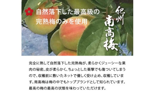 はちみつ梅干し1kg [大玉]３Ｌサイズ 紀州南高梅うめぼし和歌山産(化粧箱入)【kstb260】