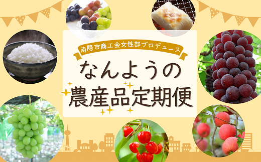 《定期便5回》 南陽市商工会女性部プロデュース 【なんようの農産品 定期便】 山形県 南陽市 [2266]