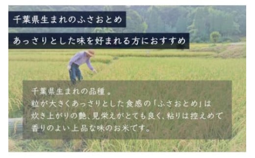 【新米】令和6年産 千葉県産「ふさおとめ」10kg（5kg×2袋） お米 10kg 千葉県産 大網白里市 ふさおとめ 米 精米 こめ 送料無料