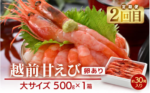 定期便≪2ヶ月連続お届け≫ 米 令和5年産 コシヒカリ5kg ＆ 越前甘エビ(卵あり)大サイズ 約500g × 1箱 (約30尾入り) 【精米】【福井県美浜町産米】【船内凍結】[m60-a009]