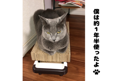 【長持ちする猫の爪とぎ】ズットモーツ 3個セット 【 ふるさと納税 人気 おすすめ ランキング 北海道 室蘭 猫 ねこ 爪 研ぎ ペット グッズ 爪切り つめとぎ おもちゃ 段ボール インテリア 日用品 ギフト プレゼント セット 自宅用 北海道 室蘭市 送料無料 】 MROJ002