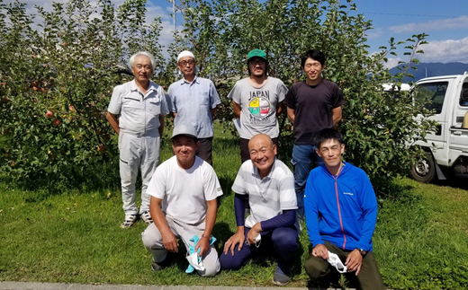 KR28-24A りんご つがる 家庭用 約4.5㎏ // 南信州 長野県 松川町 家庭用 早生りんご 