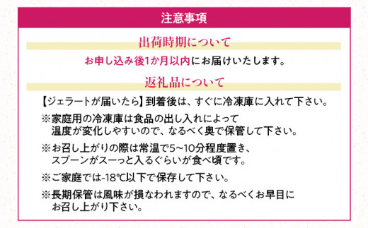 福岡産 あまおうジェラート 1000ml あまおう イチゴ いちご ジェラート スイーツ 果物 フルーツ アイス 送料無料 高級 お返し プレゼント 御見舞 お取り寄せ ストロベリー 苺