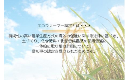 ＼令和6年産／ そのまま炊いてお赤飯に「あかね米」精米 450g×10袋 計4.5kg  