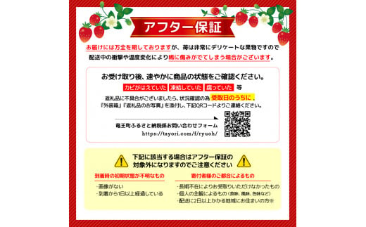 竜王町産 いちご きらめきの雫 約165g以上 ×4パック セット ( 2種類 ~ 4種類 苺 旬 産地 直送 フレッシュ イチゴ 章姫 よつぼし 紅ほっぺ すず はるひ かんなひめ フルーツ 果物 国産 小分け ベリー 農家直送 滋賀県 竜王町 送料無料  ふるさと納税 )